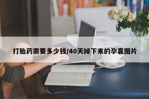 米非米索网上药店官网打胎药需要多少钱/40天掉下来的孕囊图片